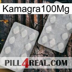 Kamagra100Mg 17